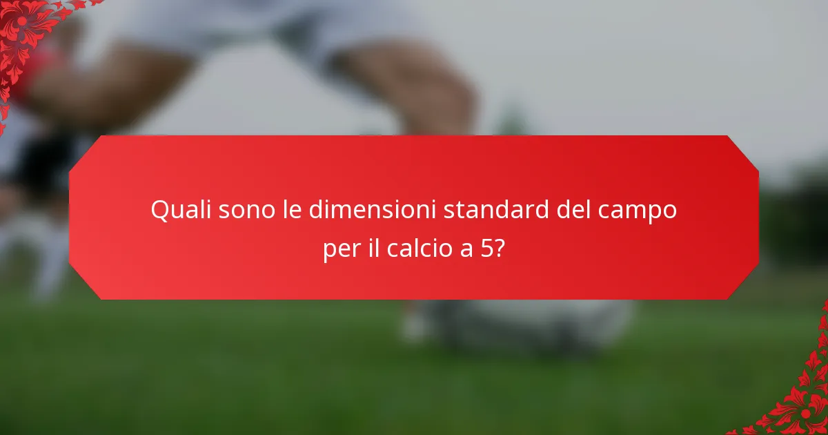 Quali sono le dimensioni standard del campo per il calcio a 5?